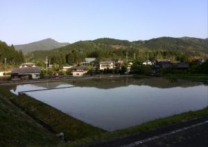 棚田のある風景