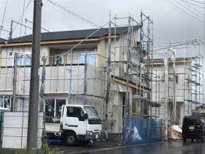 IMG_3894