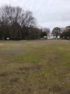 柿田川公園