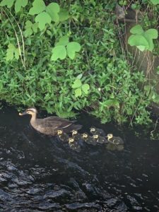 イデキョウホームの敷地内に。