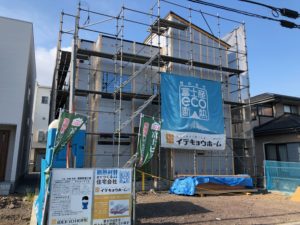 セルロース入りました
