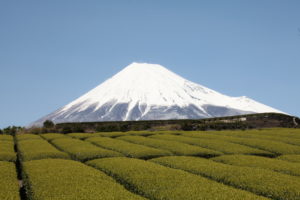 富士山