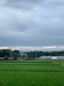 長い梅雨が続いていますね…