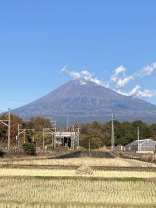 今年一年を振り返って