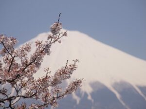 始まりの季節