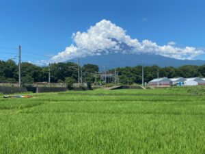 会社裏の富士山