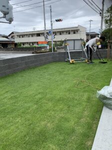 今年もこの季節がやってきました