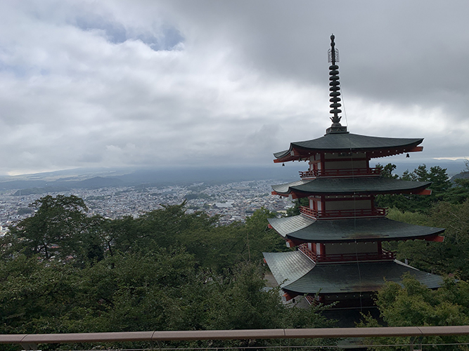 山梨開拓始めました