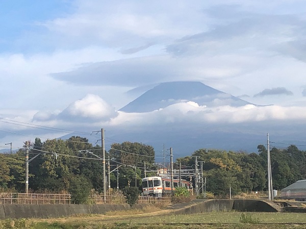 スポーツの中で野球が一番好き！