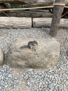 飛騨高山の旅⑥