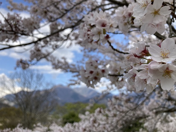 新学期の始まり