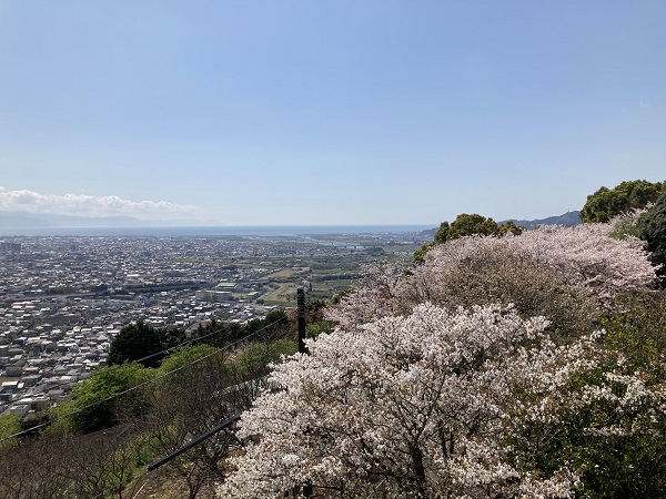 春の訪れ