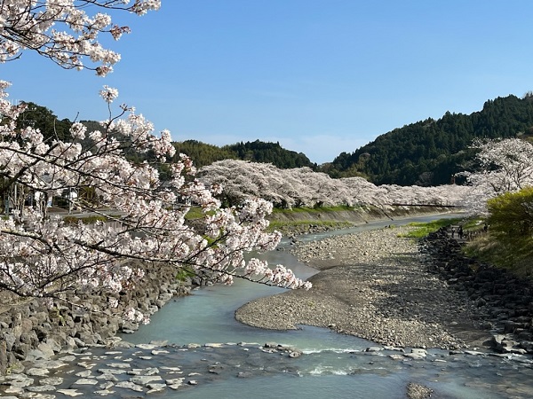 玉露の里