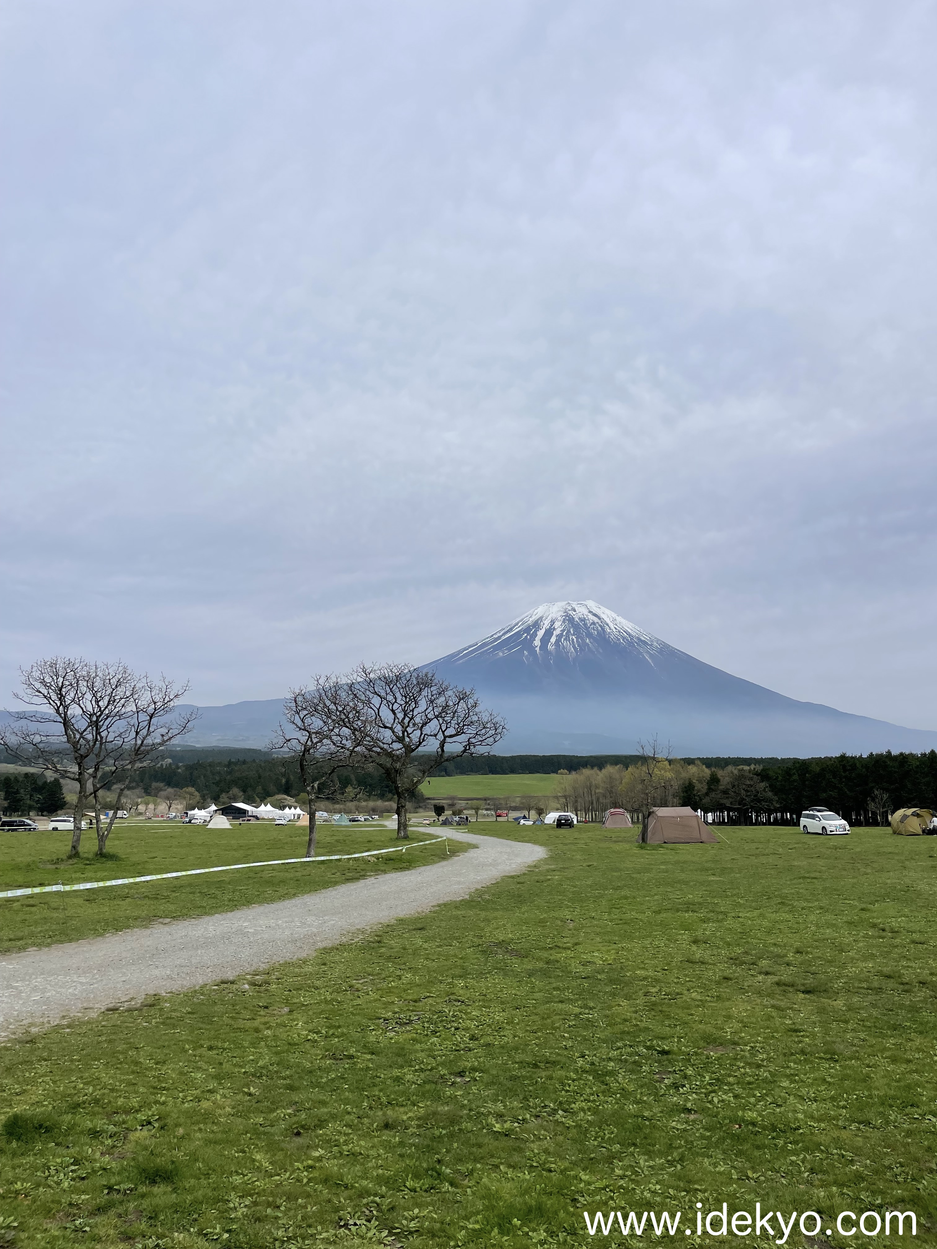 春ですね