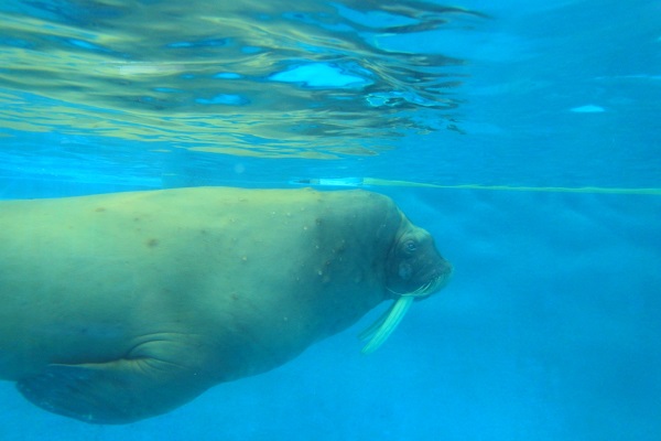 水族館