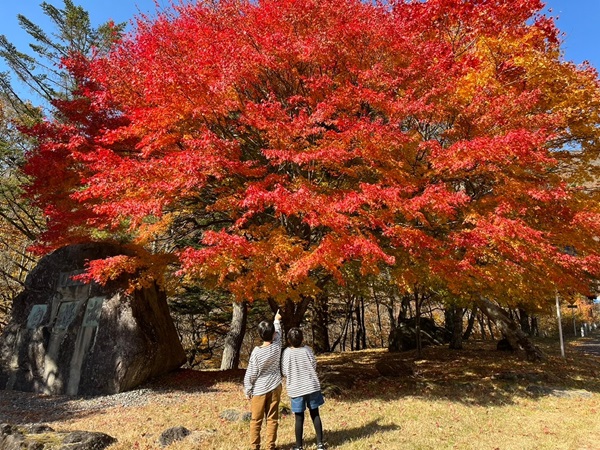 紅葉巡り