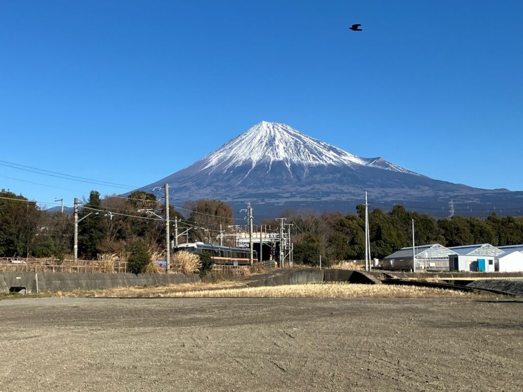 今年の抱負